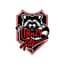 Crazy Raccoon